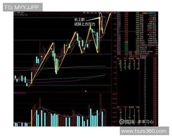 深圳足球队与上海足球队赛后复盘分析比赛节奏与战术调整的关键因素